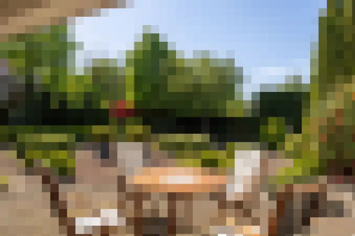 Meervenstraat 6 Oirschot thumbnail 5