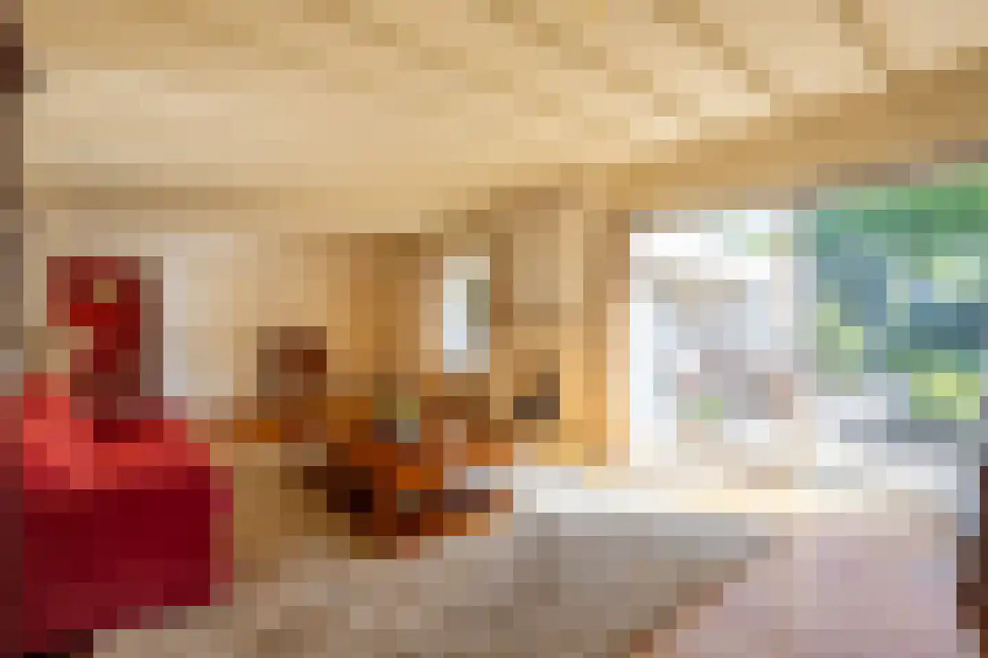 Meervenstraat 6 Oirschot thumbnail 8