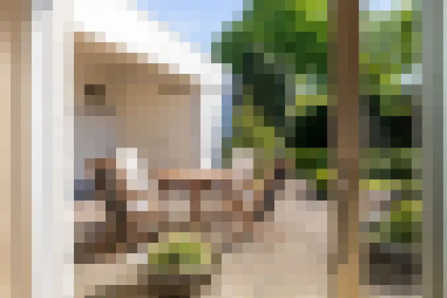 Meervenstraat 6 Oirschot thumbnail 9