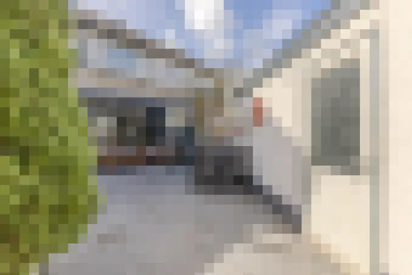 Meervlietstraat 119 Velsen-Zuid thumbnail 12