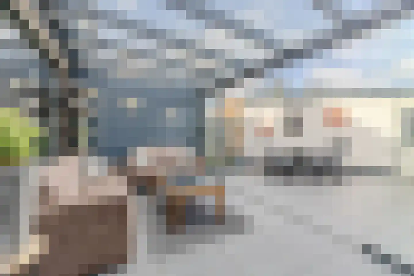 Meervlietstraat 119 Velsen-Zuid thumbnail 9
