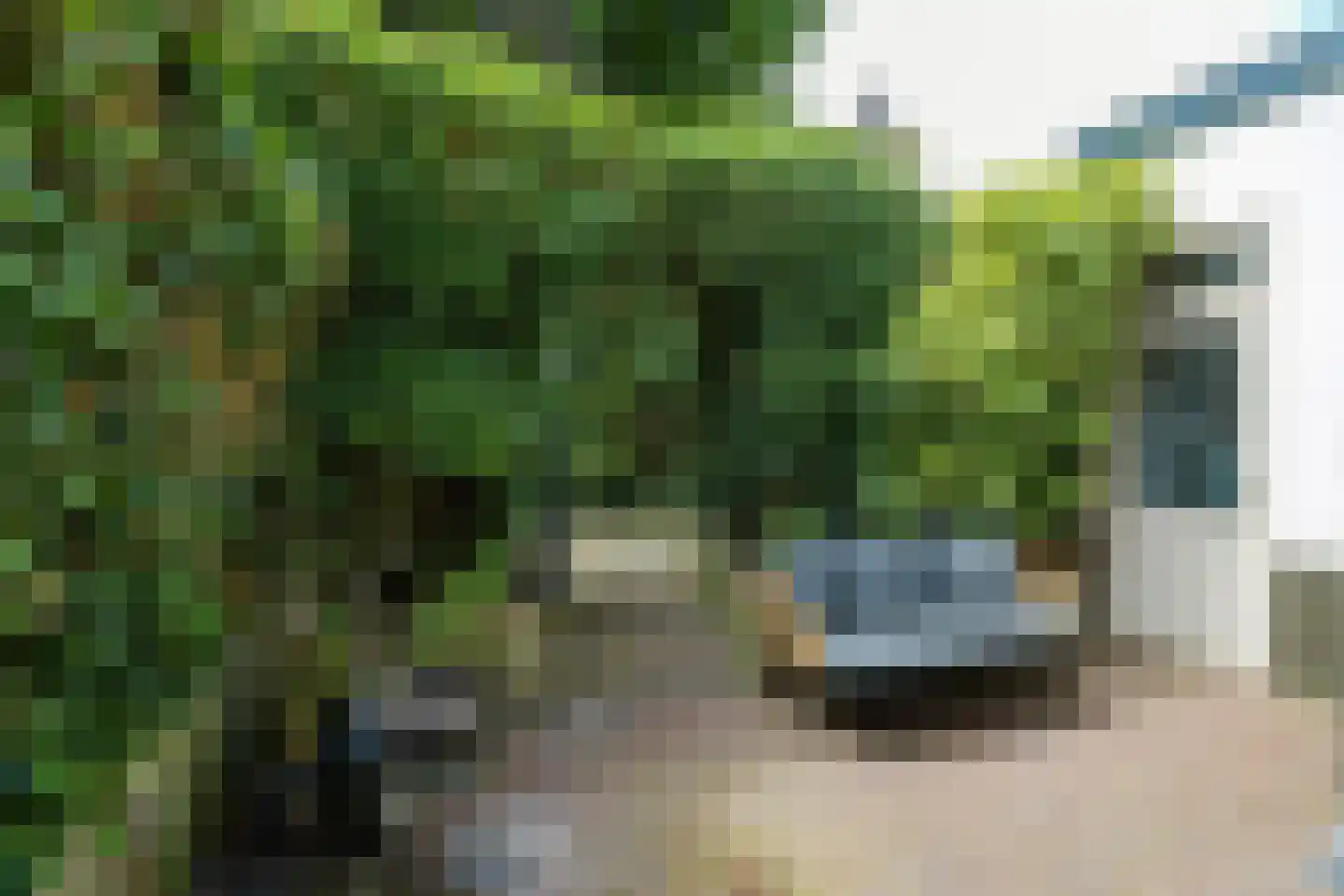 Meervlietstraat 48 Velsen-Zuid thumbnail 19