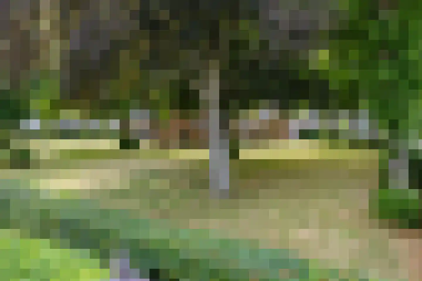 Meervlietstraat 48 Velsen-Zuid thumbnail 57