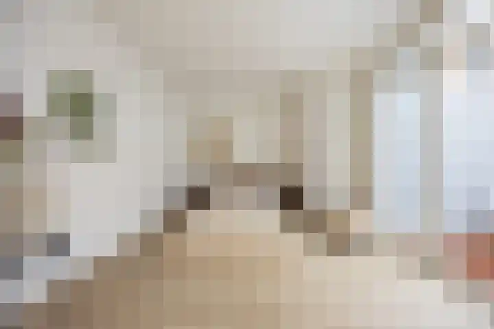 Meervlietstraat 62 B Velsen-Zuid thumbnail 7