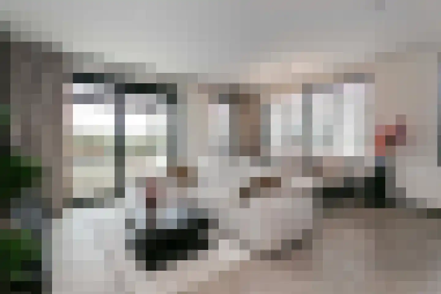 Meerwal 9 20 Nieuwegein thumbnail 6