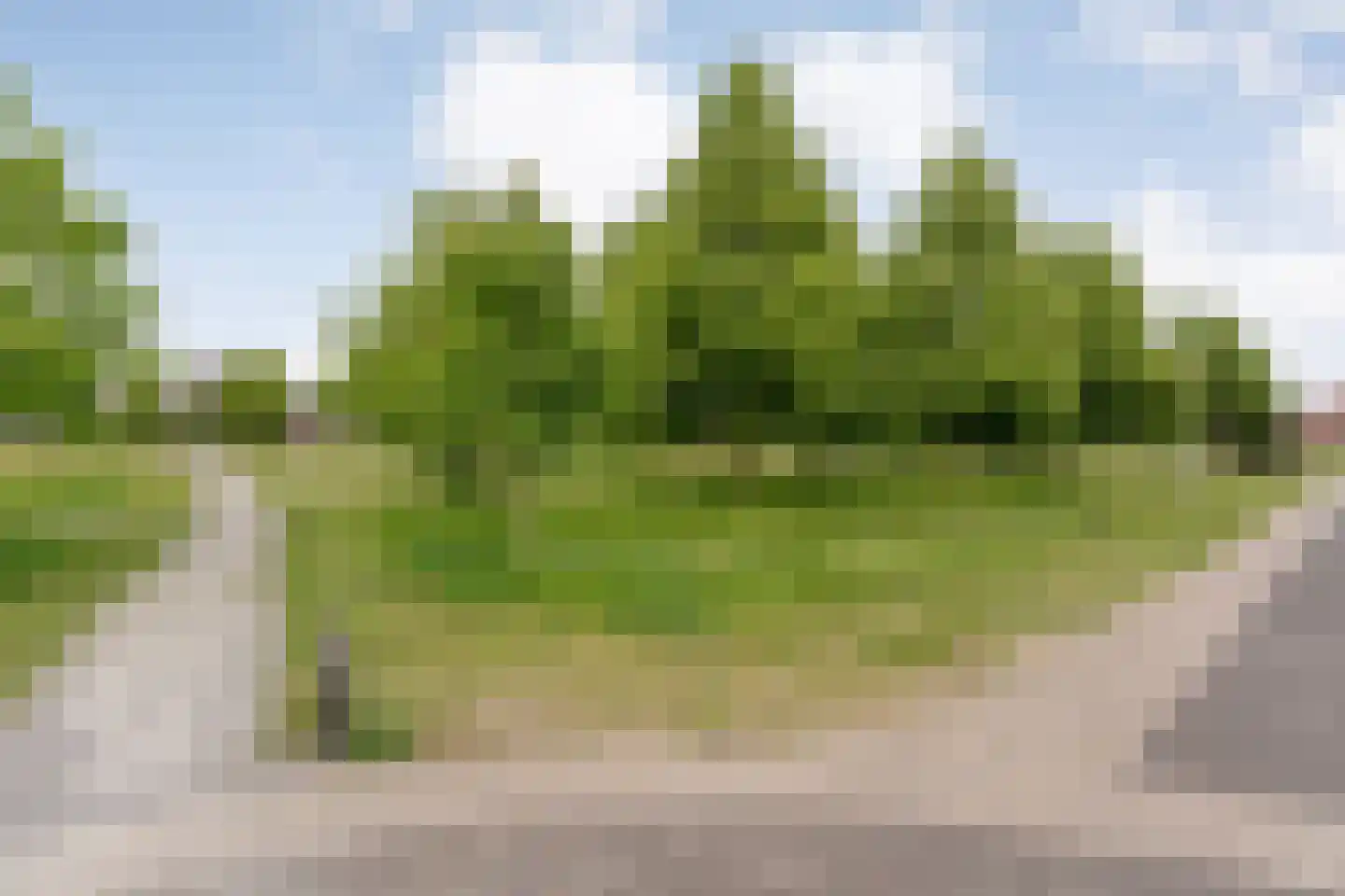 Meerwater 13 Hardenberg thumbnail 68