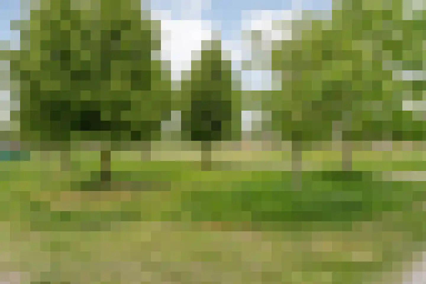 Meerwater 13 Hardenberg thumbnail 69