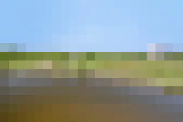 Meerwater 140 Eindhoven thumbnail 34
