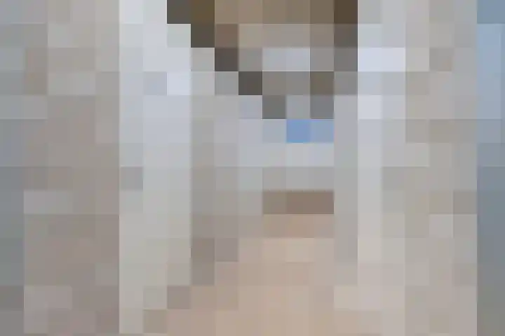 Meerwater 140 Eindhoven thumbnail 38