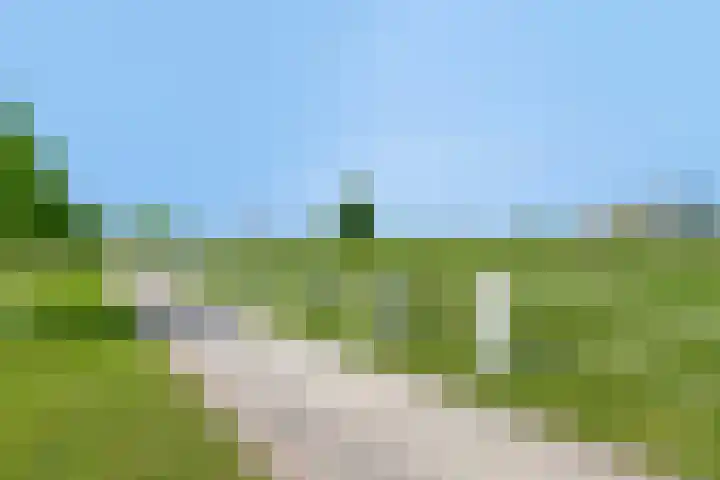 Meerwater 140 Eindhoven thumbnail 48