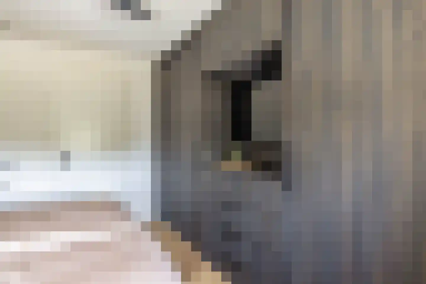 Meerwater 162 Eindhoven thumbnail 37