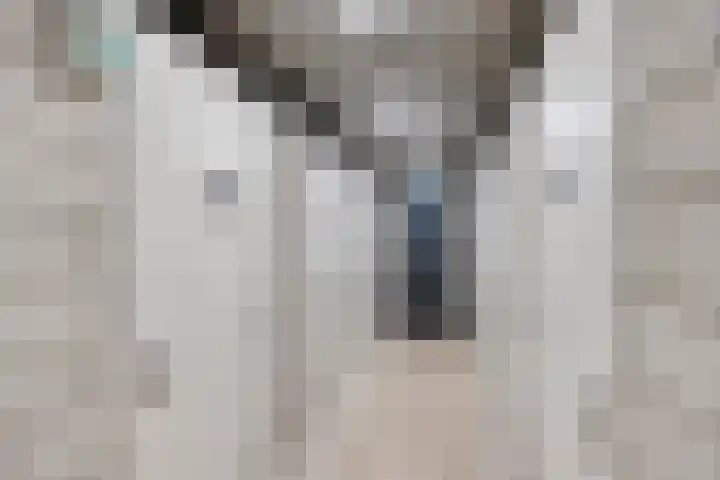 Meerwater 172 Eindhoven thumbnail 34