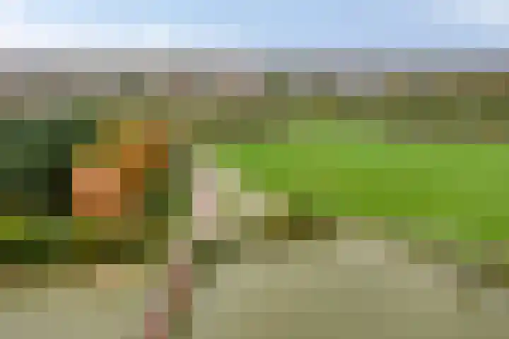 Meerwater 262 Eindhoven thumbnail 19