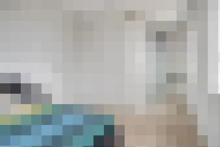 Meerwater 262 Eindhoven thumbnail 28