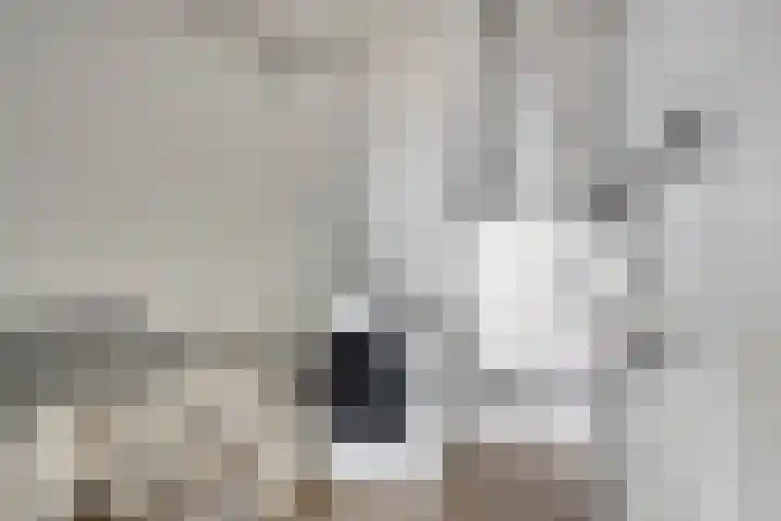 Meerwater 262 Eindhoven thumbnail 35