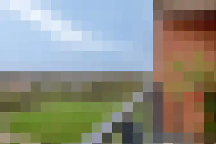 Meerwater 262 Eindhoven thumbnail 42