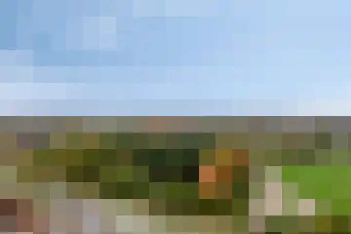 Meerwater 262 Eindhoven thumbnail 43