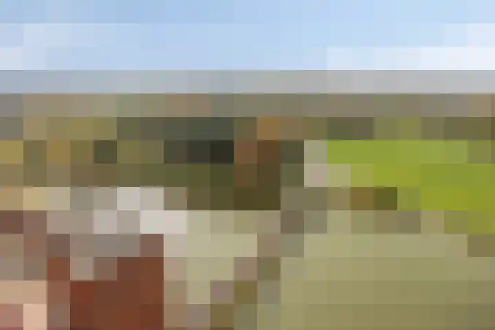Meerwater 262 Eindhoven thumbnail 44