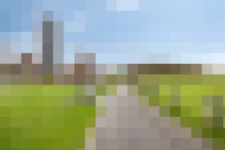 Meerwater 262 Eindhoven thumbnail 47
