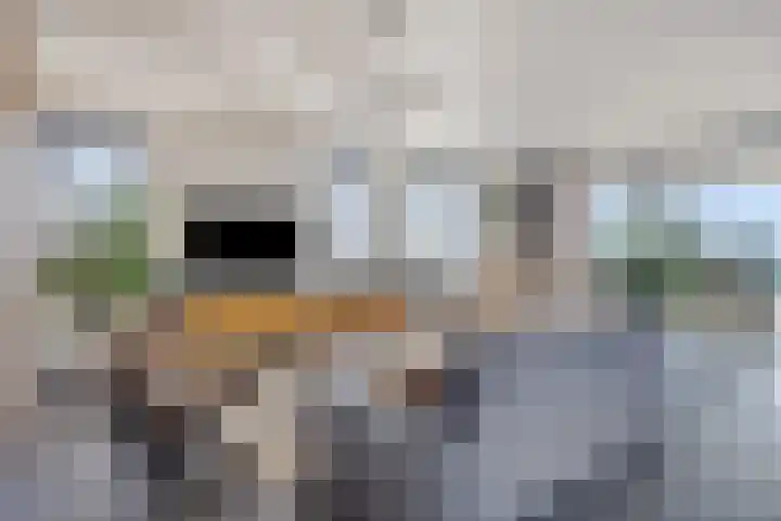 Meerwater 264 Eindhoven thumbnail 37