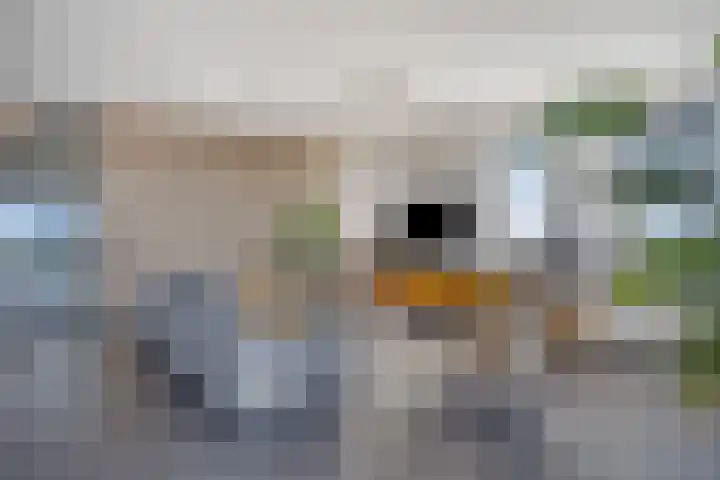 Meerwater 264 Eindhoven thumbnail 38