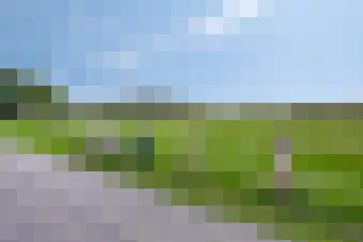 Meerwater 264 Eindhoven thumbnail 68