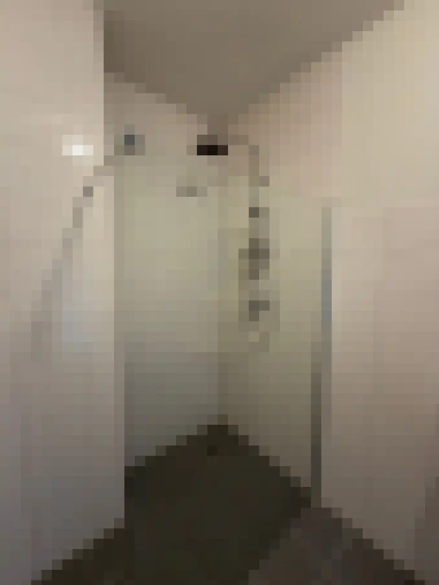 Meerwater 32 Eindhoven thumbnail 18