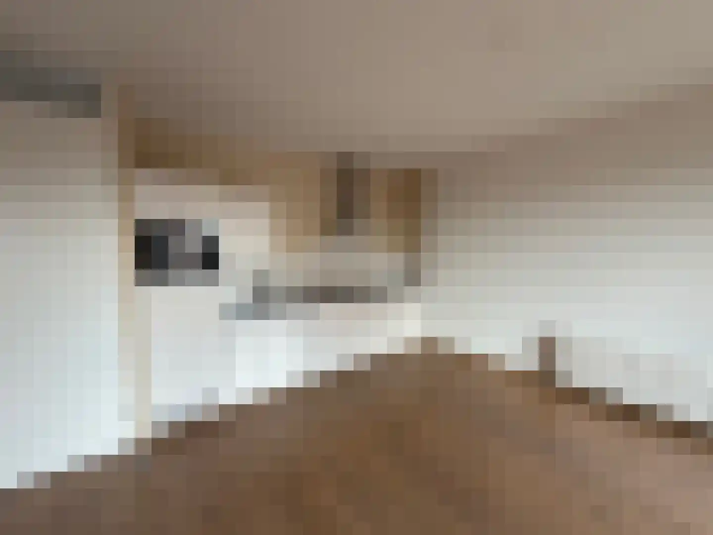Meerwater 52 Eindhoven thumbnail 9
