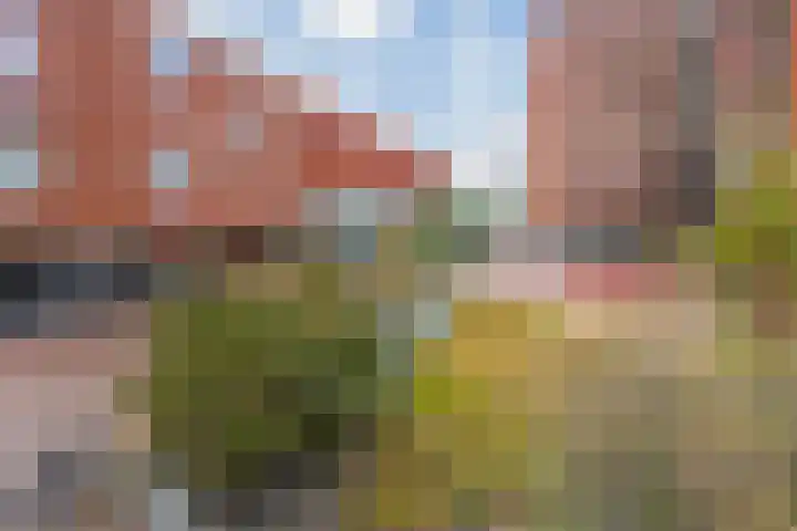 Meerwater 65 Eindhoven thumbnail 49