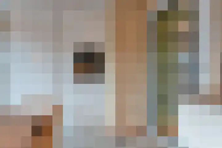 Meerwater 7 Hardenberg thumbnail 31