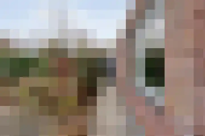 Meerwater 7 Hardenberg thumbnail 73
