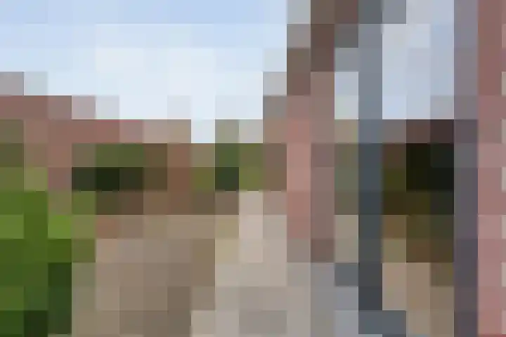 Meerwater 7 Hardenberg thumbnail 78