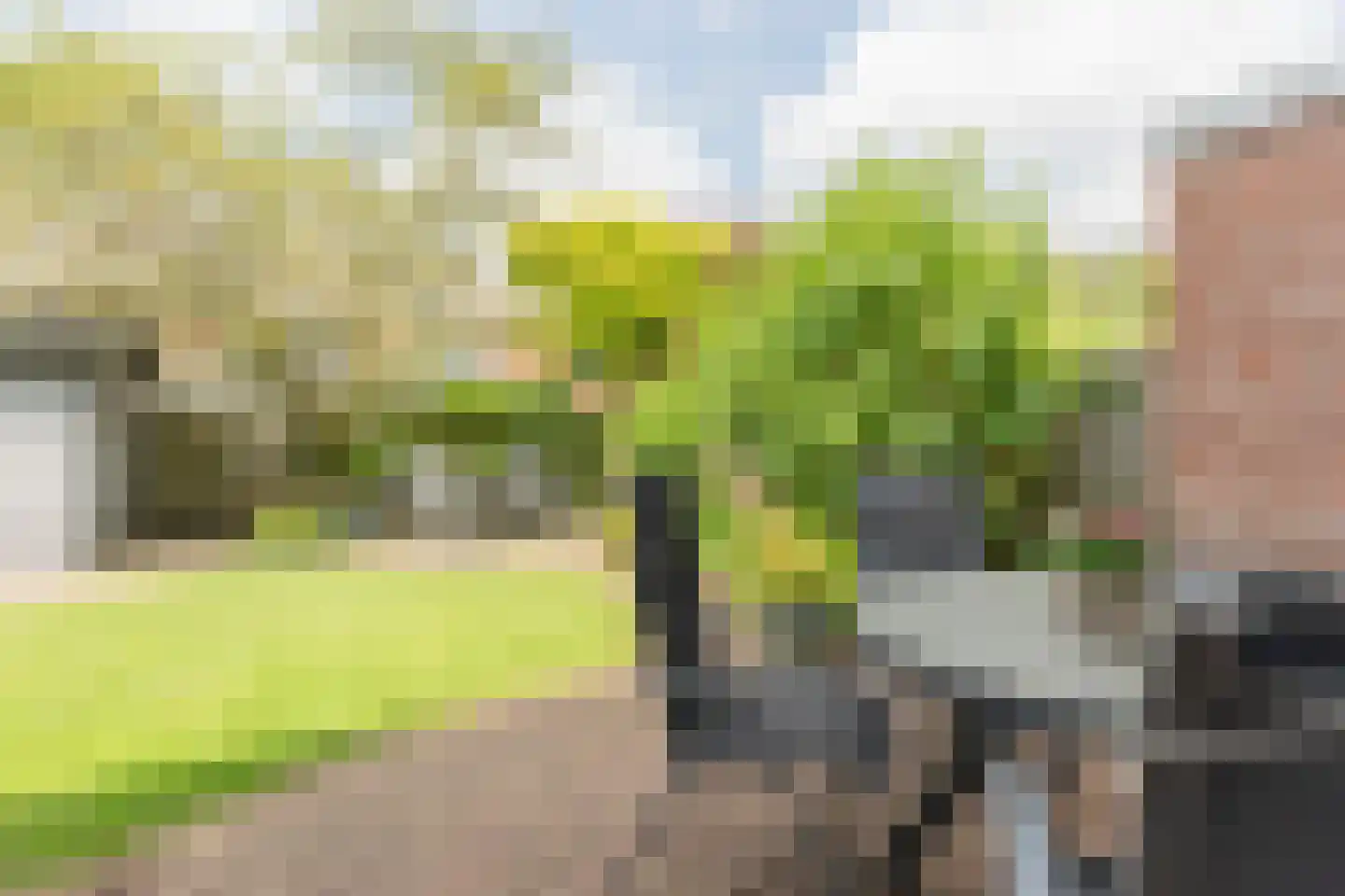 Meerwedesingel 110 Barendrecht thumbnail 47