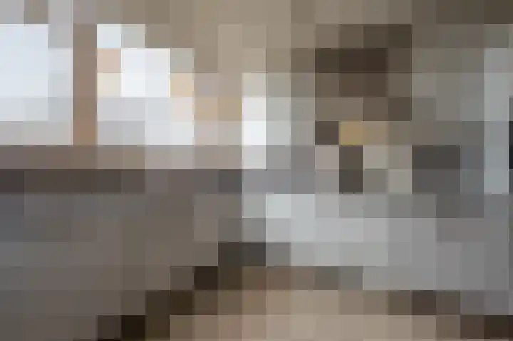 Meerwedesingel 113 Barendrecht thumbnail 7