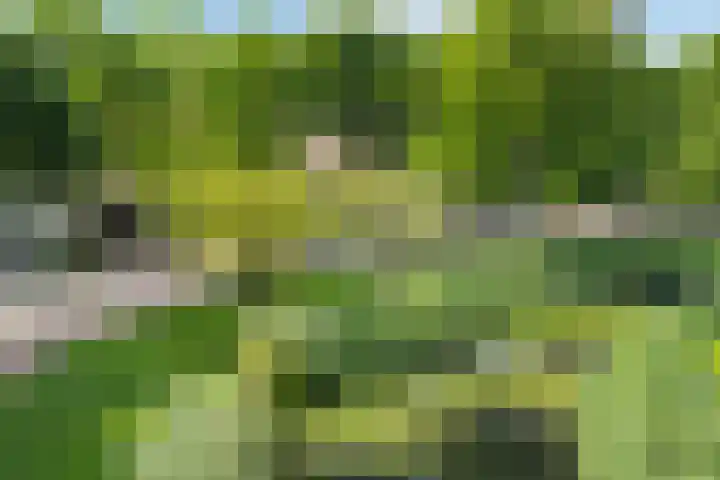 Meerwedesingel 127 Barendrecht thumbnail 28