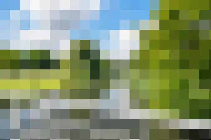 Meerwedesingel 127 Barendrecht thumbnail 29