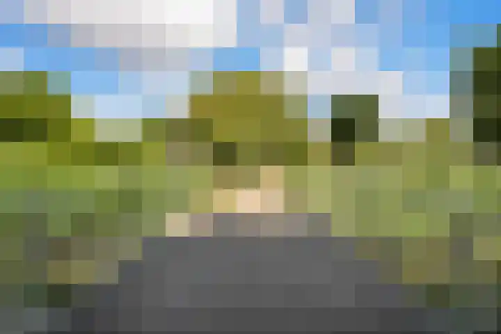 Meerwedesingel 127 Barendrecht thumbnail 30