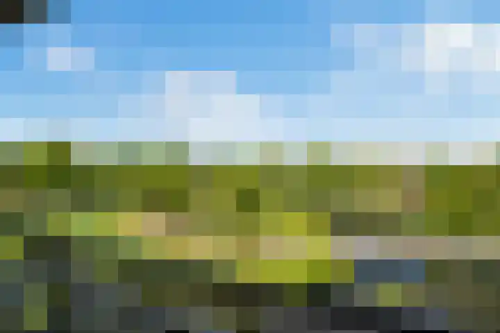 Meerwedesingel 127 Barendrecht thumbnail 5