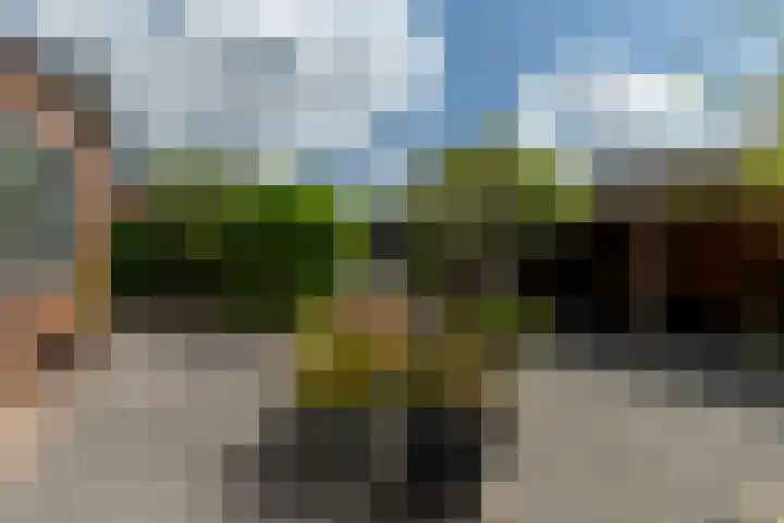 Meerwedesingel 15 Barendrecht thumbnail 28