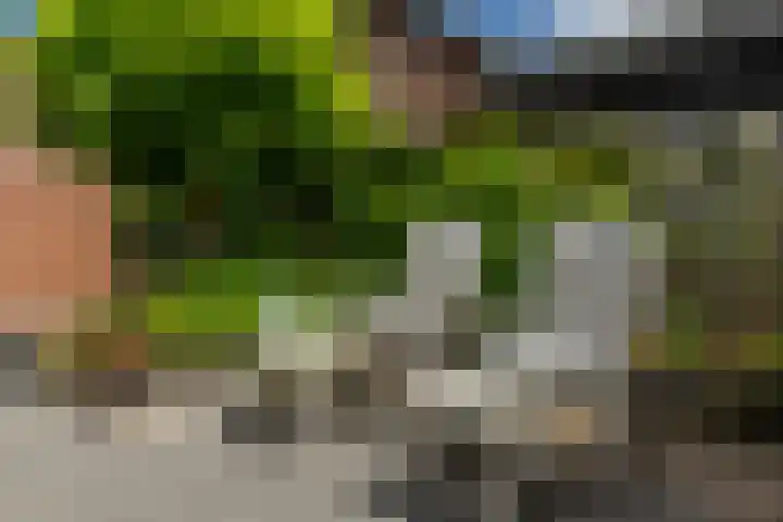 Meerwedesingel 15 Barendrecht thumbnail 33