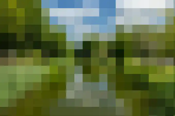 Meerwedesingel 15 Barendrecht thumbnail 35