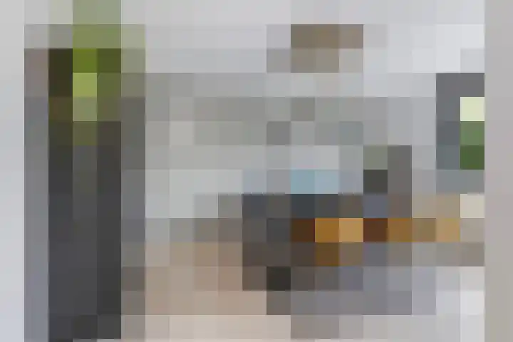 Meerwedesingel 15 Barendrecht thumbnail 8