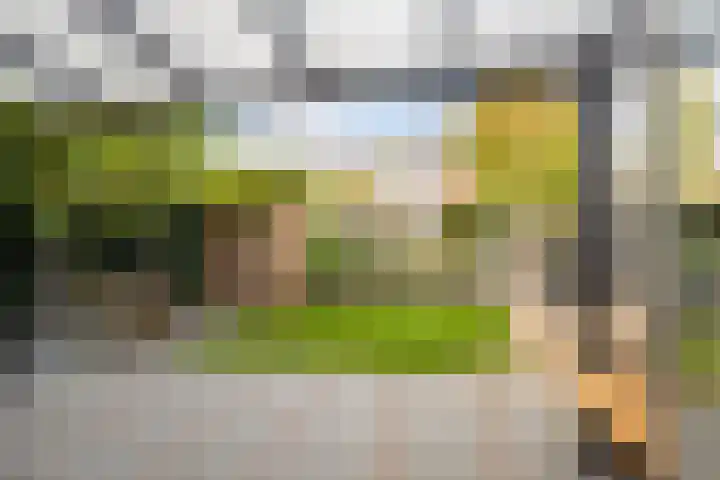 Meerwedesingel 20 Barendrecht thumbnail 42