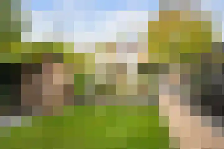 Meerwedesingel 20 Barendrecht thumbnail 44