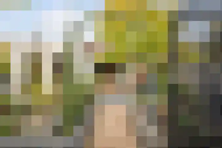 Meerwedesingel 20 Barendrecht thumbnail 45