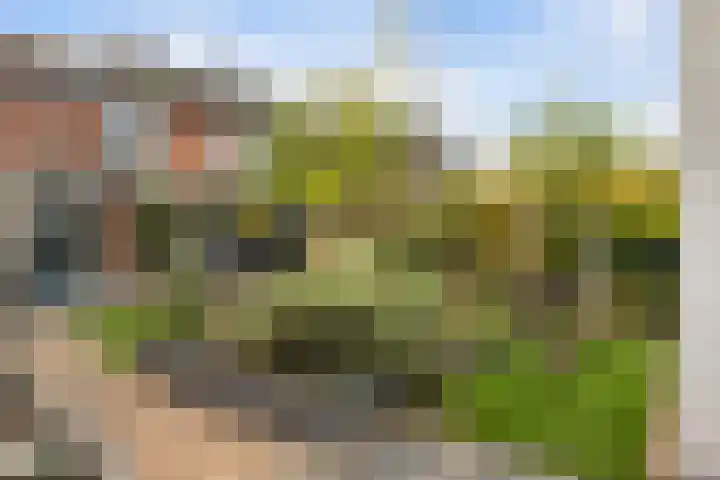 Meerwedesingel 20 Barendrecht thumbnail 49