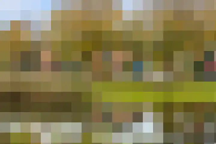 Meerwedesingel 20 Barendrecht thumbnail 5