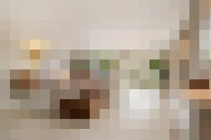 Meerwedesingel 20 Barendrecht thumbnail 8