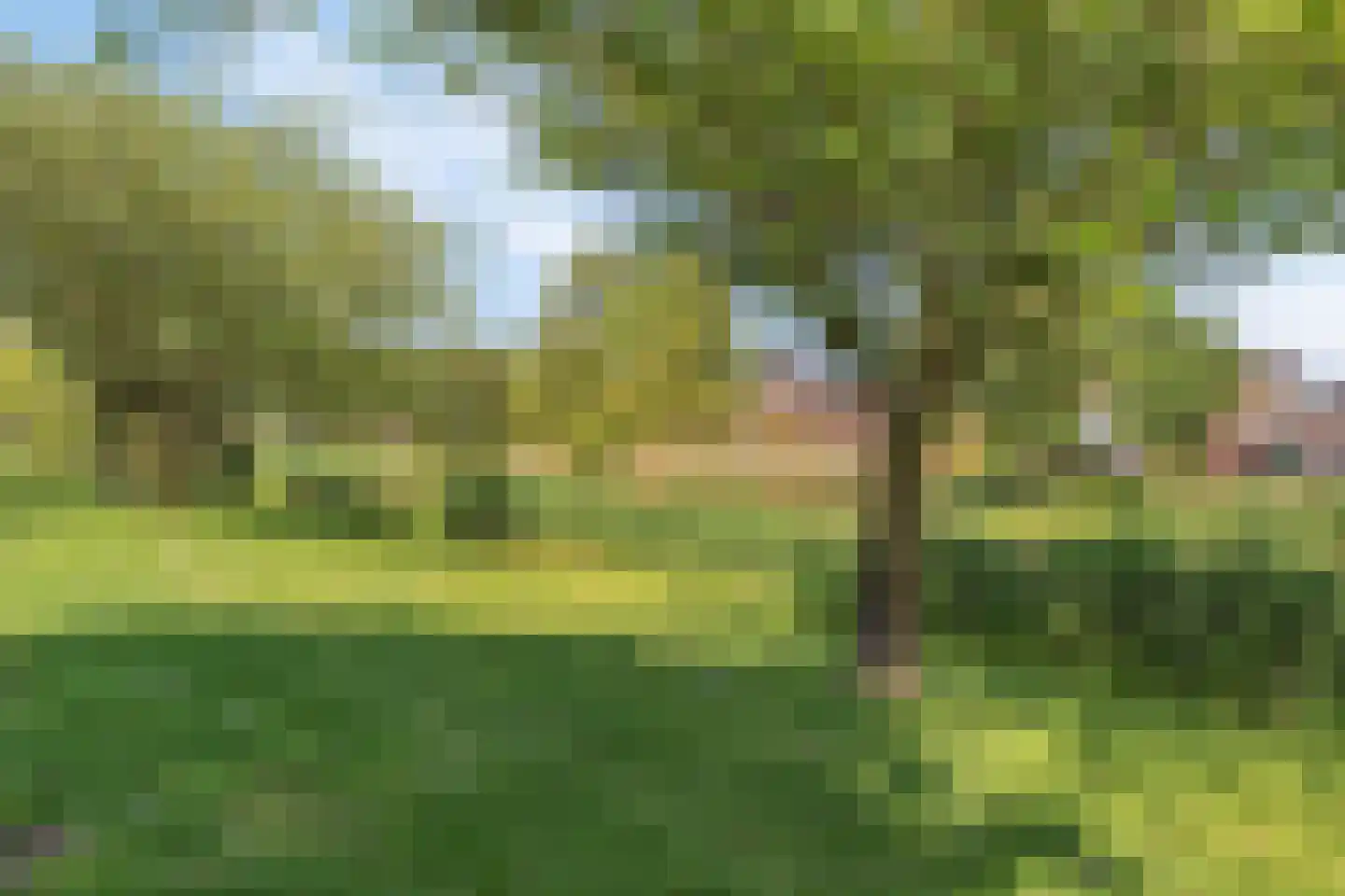 Meerwedesingel 37 Barendrecht thumbnail 57