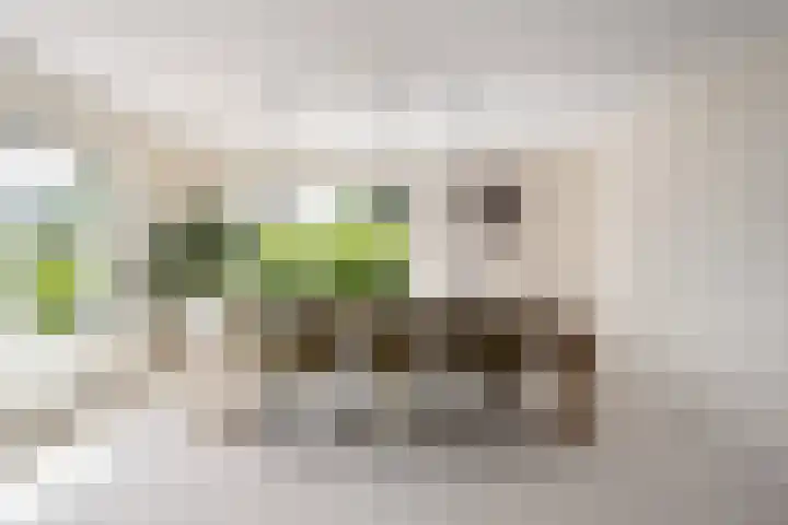 Meerwedesingel 41 Barendrecht thumbnail 14